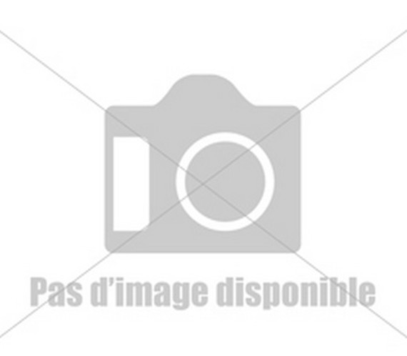1182-WS-0001 10 fils AF3.20, coupés à 3,9 mm x 47 cm de longueur - pour débrousailleuse à roues Cub Cadet LC3 DP56 1182-WS-0001 10 fils AF3.20, coupés à 3,9 mm x 47 cm de longueur - pour débrousailleuse à roues Cub Cadet LC3 DP56